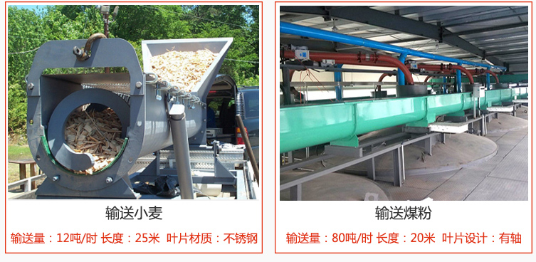絞龍螺旋輸送機(jī)輸送小麥輸送量在12噸/時(shí)，長(zhǎng)度為25米，葉片采用不銹鋼材質(zhì)；輸送水泥輸送量在80噸/時(shí)，長(zhǎng)度為20米，葉片設(shè)計(jì)為有軸。
